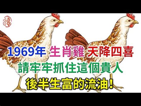 1969年屬雞運勢|生肖雞：1969年是什麼命？